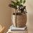 Crofta Woven Planter Basket Ornament Plant Container for Office Yard Indoor Outdoor 25cmx25cmx23cm