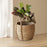 Crofta Woven Planter Basket Ornament Plant Container for Office Yard Indoor Outdoor 30cmx30cmx26cm