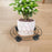 Crofta Plant Stand Quiet Planter Trolley Black Flower Pot Tray for Deck Vase Garden