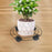 Crofta Plant Stand Quiet Planter Trolley Black Flower Pot Tray for Deck Vase Garden