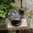 Crofta Garden Bird Bath Bowl Decorative Birdbath Decorative Gift Flower Bird Feeder