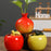 Crofta Fruit Shaped Ceramic Flower Vase Office Fireplace Organizer Propagation Vase Pomegranate