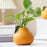 Crofta Fruit Shaped Ceramic Flower Vase Office Fireplace Organizer Propagation Vase Orange