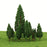 Crofta 62 Pieces Simulation Miniature Tree for Diorama Layout DIY Scenery Landscape Pines and Poplar