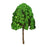 Crofta 50x Model Trees Accessories Miniature Trees for Landscape Railway DIY Crafts green