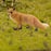 Crofta Animal Figure Lifelike Simulation Wild Animal Statue Birthday Study Presents Red Fox