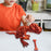 Crofta 3D Printed Articulated Dragon Novelty Articulated Dragon for Desk Car Office Red