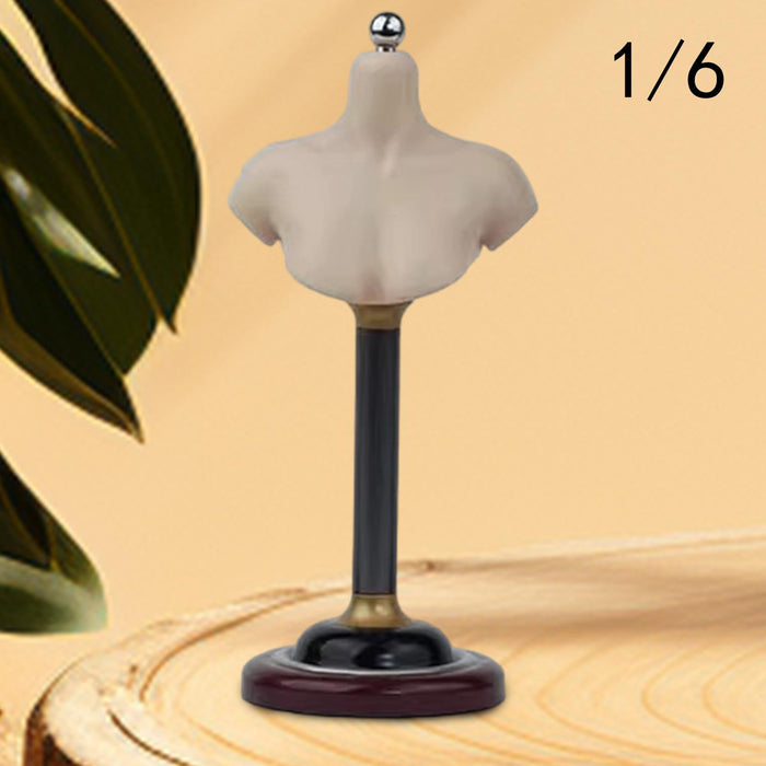 Crofta 1/6 Half Bust Base Stand Accessories for Photographing Exhibition Collection 16cm