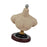 Crofta 1/6 Half Bust Base Stand Accessories for Photographing Exhibition Collection 9.8cm