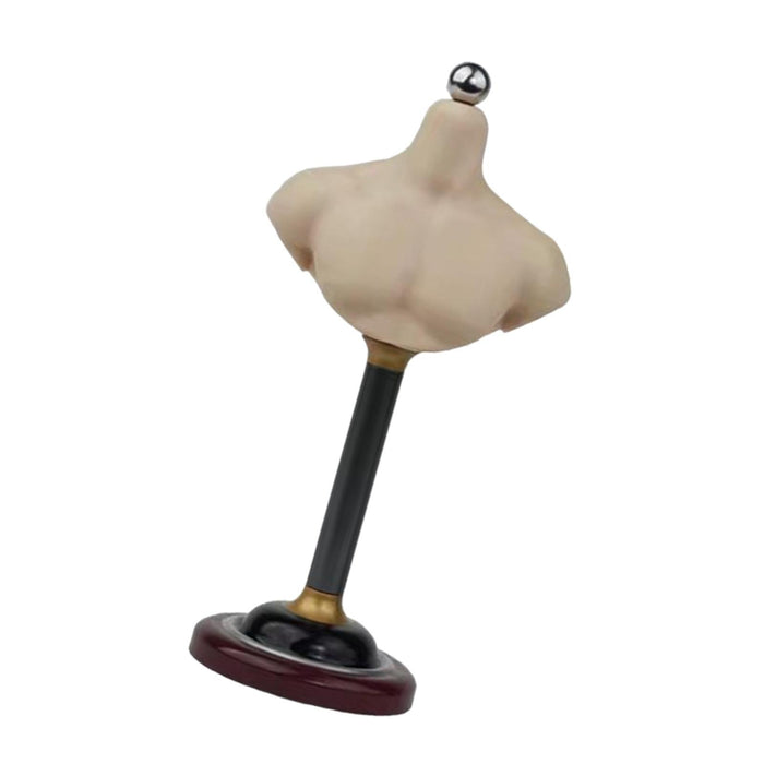 Crofta 1/6 Half Bust Base Stand Accessories for Photographing Exhibition Collection 15.3cm