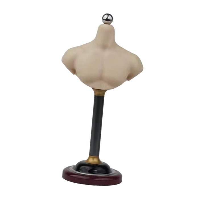 Crofta 1/6 Half Bust Base Stand Accessories for Photographing Exhibition Collection 15.3cm