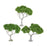 Crofta 3 Pieces Miniature Trees for Sand Table DIY Scenery Landscape Diorama Layout broadleaf tree