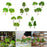 Crofta 3x Model Trees Diorama Tree for Railway Building Model DIY Scenery Landscape green trees