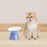 Crofta Ceramic Elevated Cat Bowl Anti Vomiting Sturdy Cat Feeder for Pet Cats Puppy blue