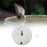 Crofta Bird Drinker Transparent Automatic Bird Feeder for Parrot Cockatiel Parakeet