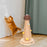 Crofta Cat Scratch Post Ball Track with Dangling Ball for Indoor Cats Scratcher