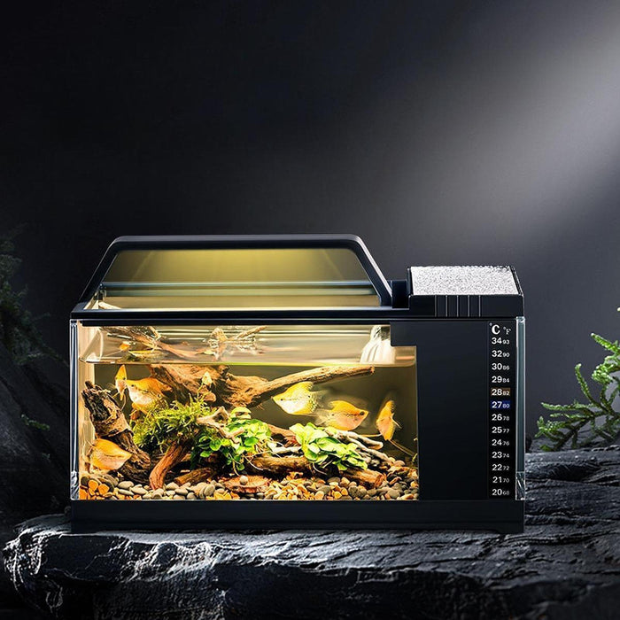 Crofta Micro Landscape Fish Tank Sturdy Mini Fish Tank for Tabletop Household Decor black