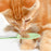 Crofta Cat Strip Squeeze Spoon Multi Use Cat Wet Feeder for Cat Kitten Wet Food Green