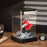 Crofta Betta Fish Tank Transparent Small Desktop Aquarium for Home Living Room Frog Black