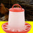 Crofta Chicken Feeder and Water Feeder Automatic Blanking Bucket for Duck Chook Hen