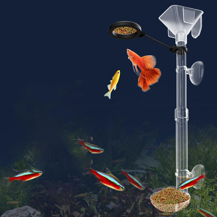 Crofta Fish Feeder Acrylic Feeding Supplies Aquarium Shrimp Feeding Tube for Shrimp S