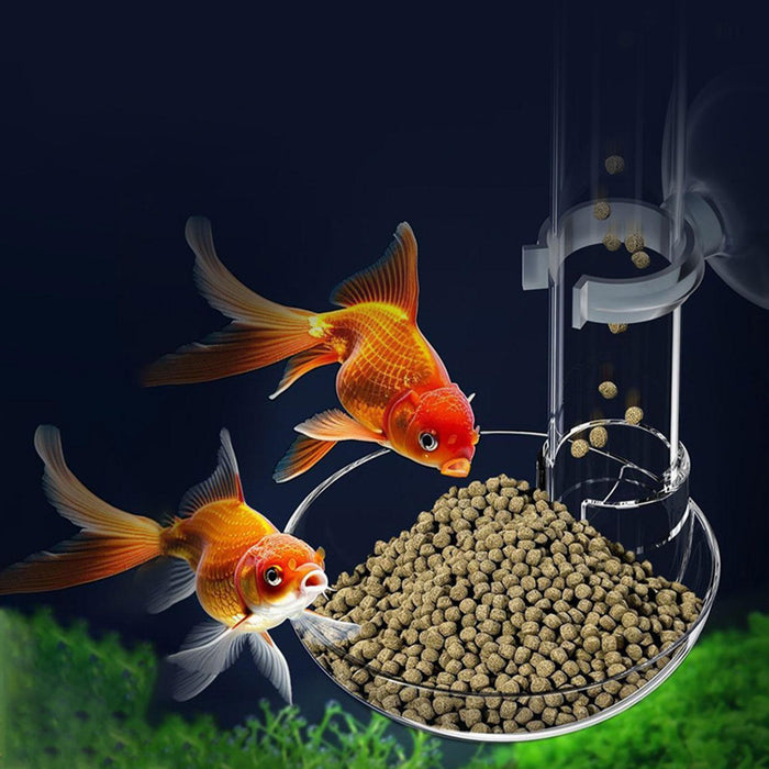 Crofta Fish Feeder Acrylic Feeding Supplies Aquarium Shrimp Feeding Tube for Shrimp S