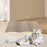 Crofta Cat Scratching Board Grind Claws Cat Sofa for Indoor Cats Kittens Sleep Play