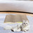 Crofta Cat Scratching Board Grind Claws Cat Sofa for Indoor Cats Kittens Sleep Play