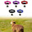 Crofta 5 Pieces Goats Collar Set Anti Slip Cow Adjustable Grazing Copper Bell Collar