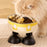 Crofta Puppy Bowl Food Feeding Dish Cat Food Bowl for Small Pets Food and Water Dog Yellow White