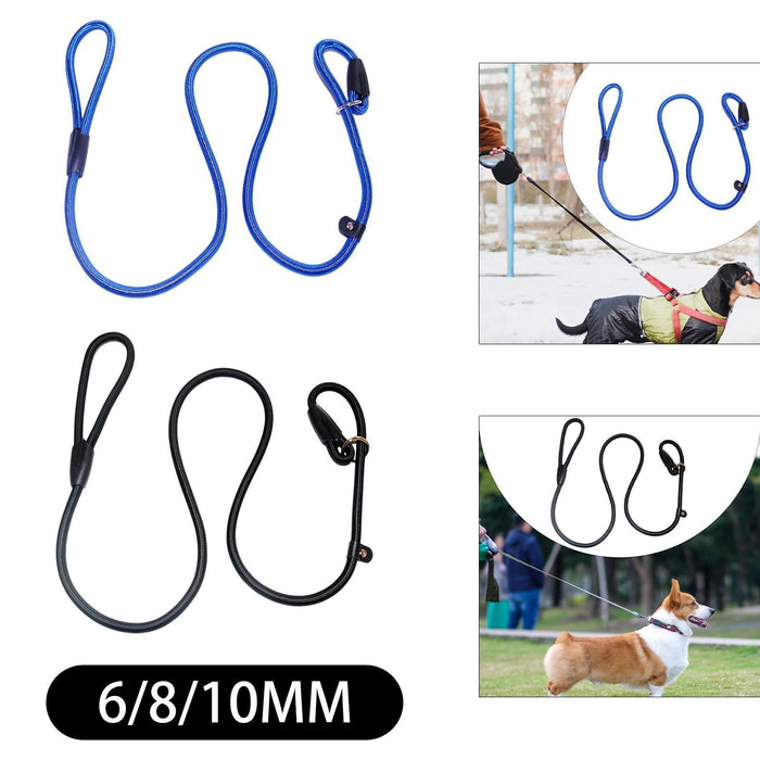 Crofta Pet Dog Leash Sturdy Dog Walking Leash for Medium Large Dogs Walking Running blue 6mm