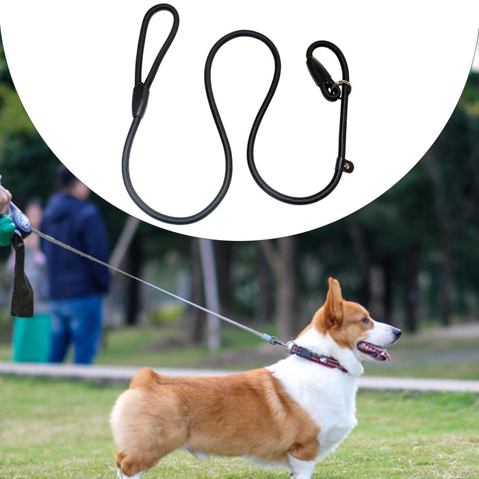 Crofta Pet Dog Leash Sturdy Dog Walking Leash for Medium Large Dogs Walking Running black 8mm