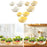 3 Pieces Vegetable Washing Basket Practical for Household Counter Restaurant White