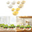 3 Pieces Vegetable Washing Basket Practical for Household Counter Restaurant White