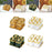 Dried Fruit Snack Serving Plate Snacks Dish Nuts Tray for Wedding Home Party Yellow