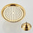 Rain Shower Head Easy to Install Retro Shower Sturdy Stainless Steel gold