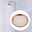 Rain Shower Head Easy to Install Retro Shower Sturdy Stainless Steel rose gold