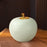 Crofta Apple Fruit Bowl Kitchen Canister for Home Decor Restaurants Kitchen Counter green