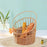 Crofta Vegetable Fruit Basket Waterproof Picnic Basket for Restaurant Camping Party