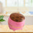 Crofta Rice Container Divided Storage Food Storage Container for Grain Cereal Flour pink