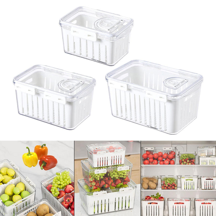 Crofta Fruit Storage Container for Fridge Vegetable Fresh Keeper for Household Food S