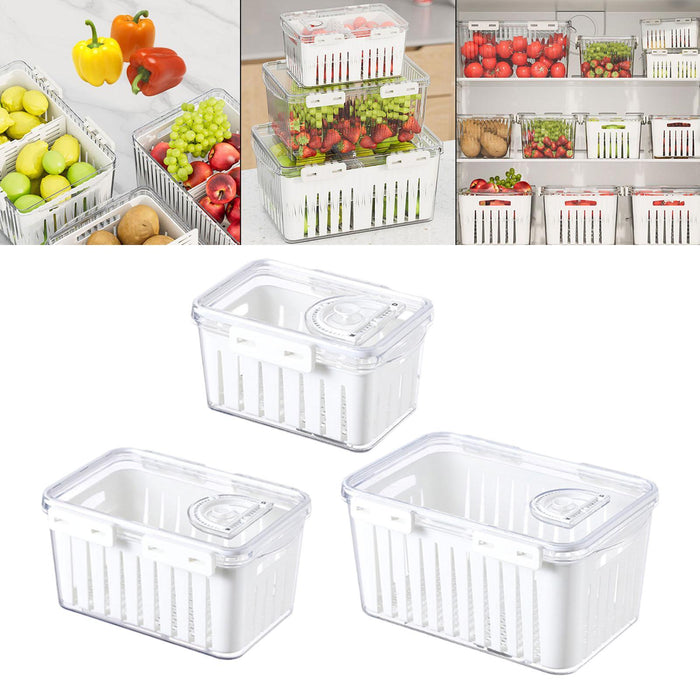 Crofta Fruit Storage Container for Fridge Vegetable Fresh Keeper for Household Food S