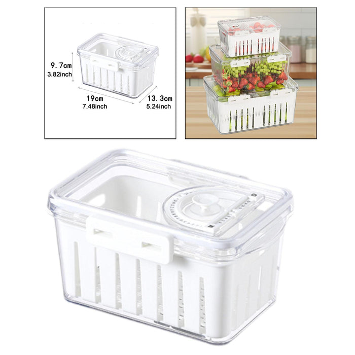 Crofta Fruit Storage Container for Fridge Vegetable Fresh Keeper for Household Food S