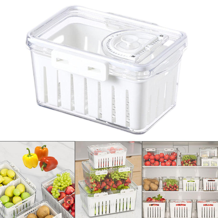 Crofta Fruit Storage Container for Fridge Vegetable Fresh Keeper for Household Food S