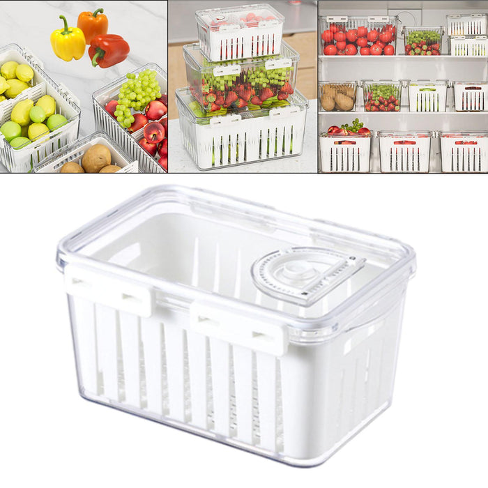 Crofta Fruit Storage Container for Fridge Vegetable Fresh Keeper for Household Food M