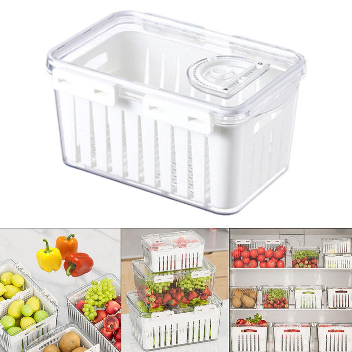 Crofta Fruit Storage Container for Fridge Vegetable Fresh Keeper for Household Food M