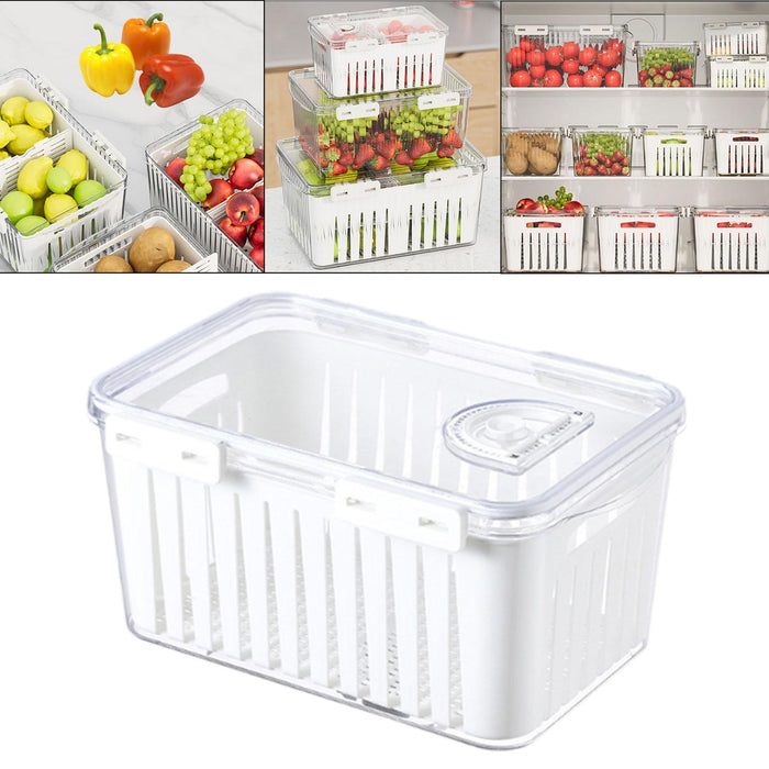 Crofta Fruit Storage Container for Fridge Vegetable Fresh Keeper for Household Food L