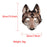 Wolf Head Mask for Fancy Dress Party Party Spoofs Cosplay Brown