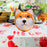 Shiba Inu Mask Cosplay Adults Face Mask for Festival Role Playing Night Club