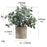 3 Pieces Artificial Potted Plants Artificial Bonsai for Office Bedroom Shelf